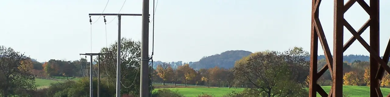 Grün bewachsener Acker von Bäumen umgeben. Über den Acker verläuft eine Überlandleitung.